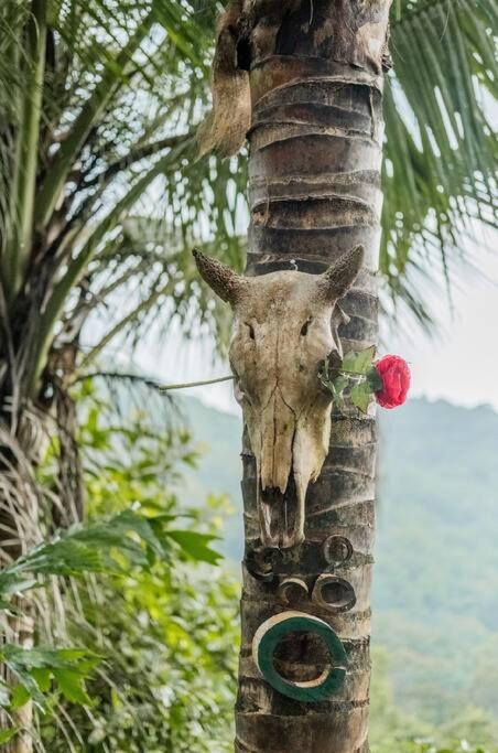 Leela Garden Resort Bamboolove Ban Tai Exterior foto