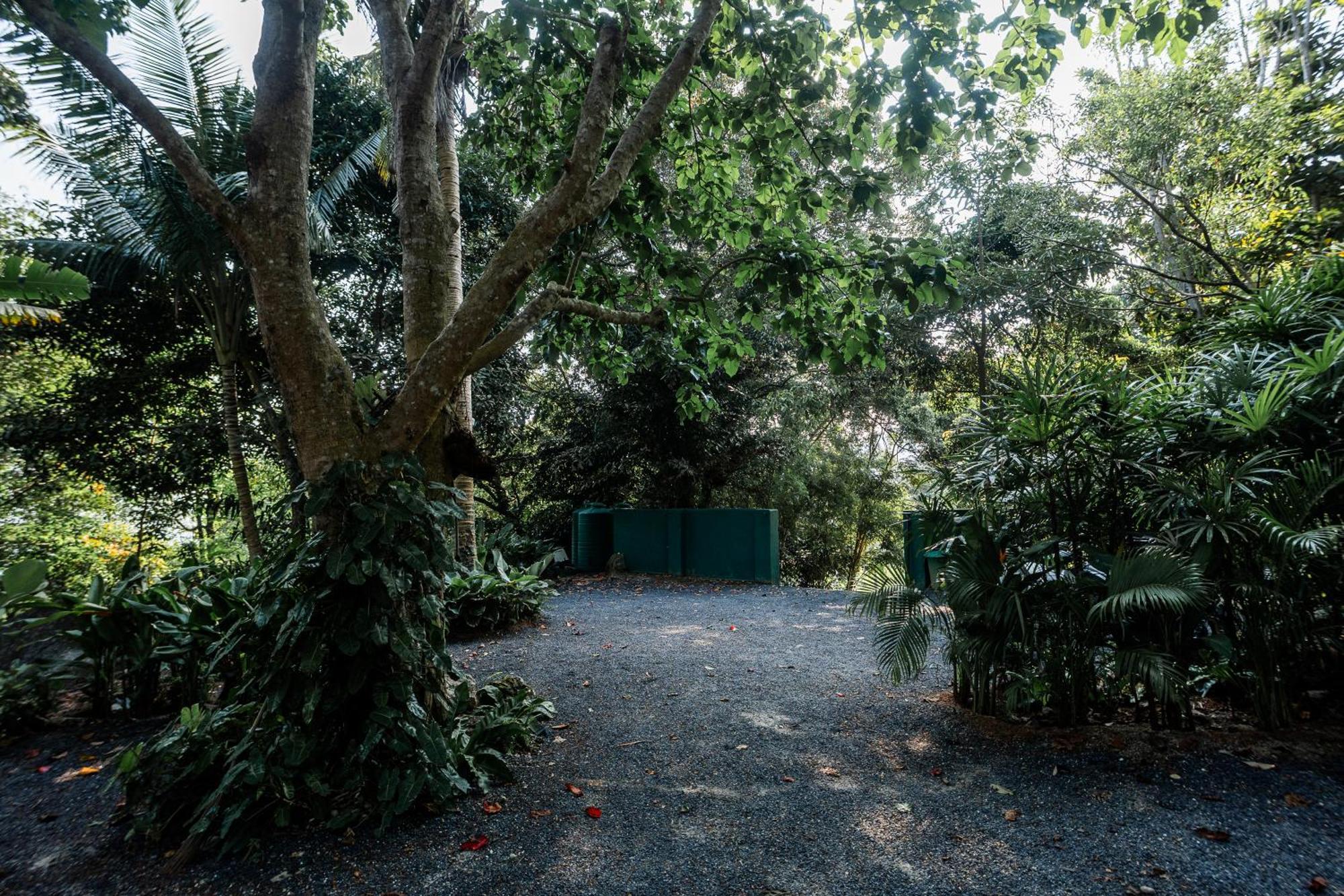 Leela Garden Resort Bamboolove Ban Tai Exterior foto